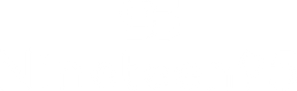 Nineteen95 logo